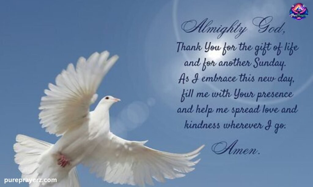 A Love Rooted in Christ