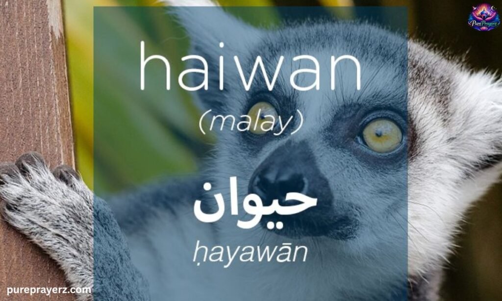 Haiwan Arabic Meaning in Malayalam