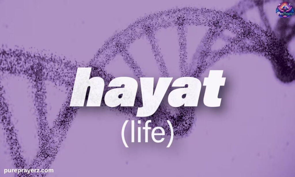 Hayat Meaning in Turkish & German